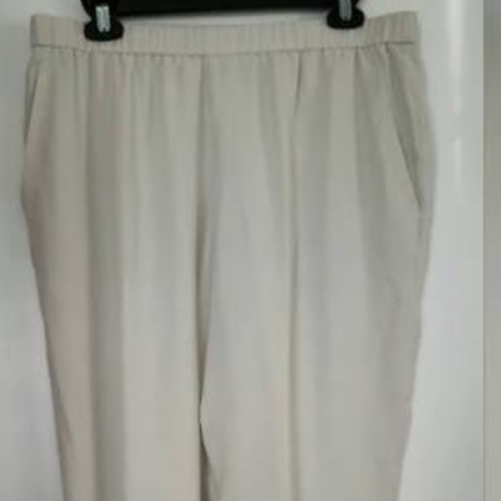 EILEEN FISHER Silk Georgette Crepe Pants Lined in Silk Bone Size PETITE PP